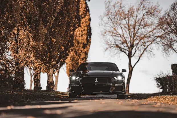 HippoZino Casino Android/iOS rakendus